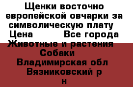 Щенки восточно европейской овчарки за символическую плату › Цена ­ 250 - Все города Животные и растения » Собаки   . Владимирская обл.,Вязниковский р-н